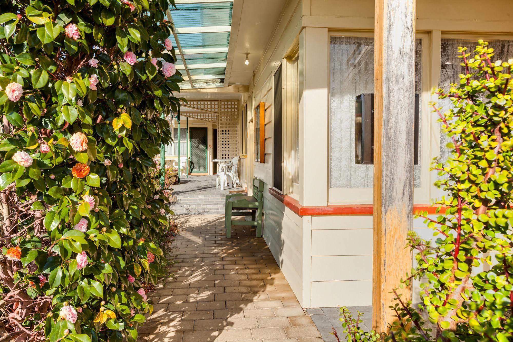 Wintersun Gardens Motel Бичено Экстерьер фото