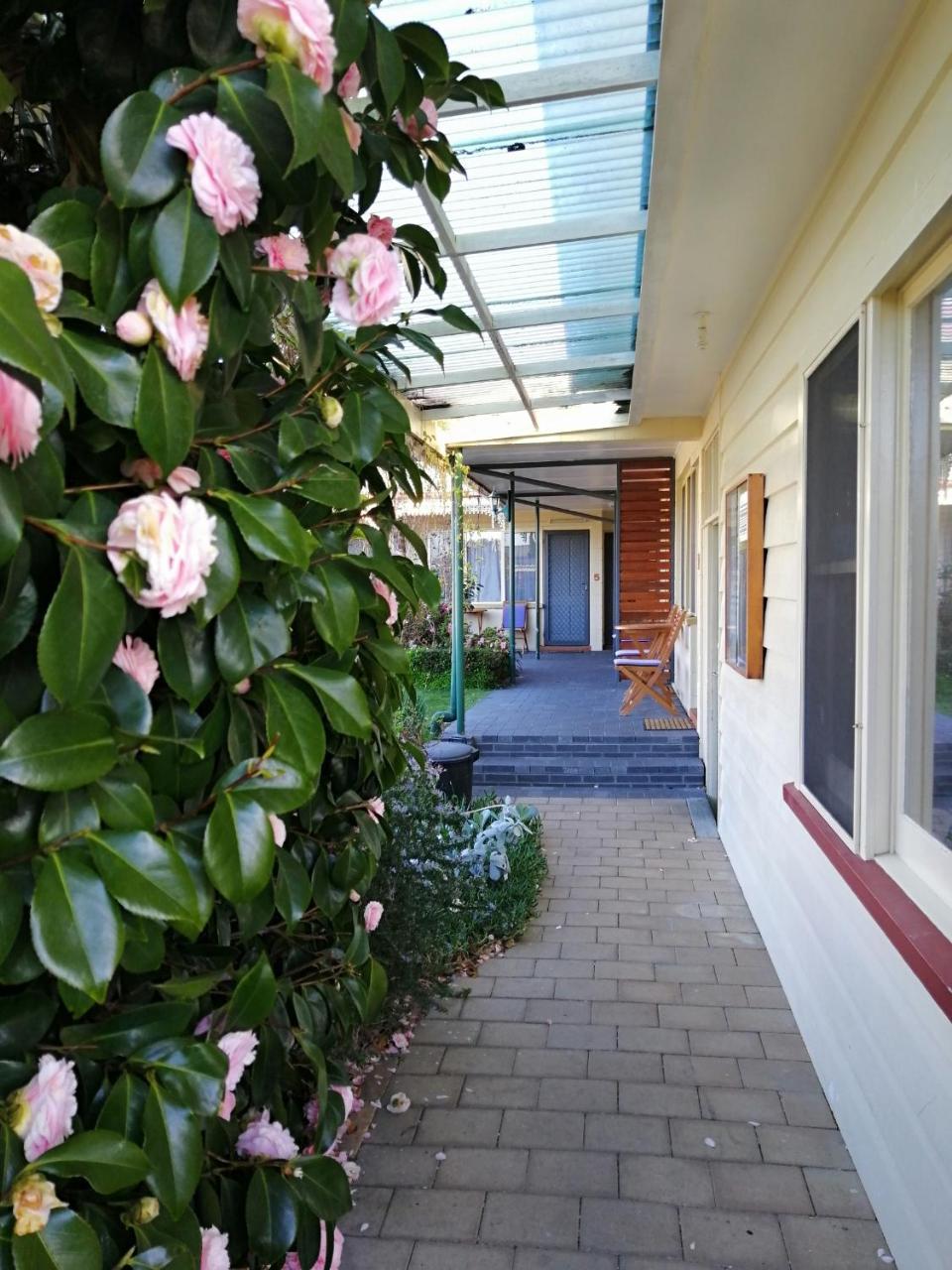 Wintersun Gardens Motel Бичено Экстерьер фото